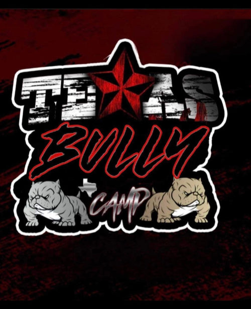 Texas Bully Camp